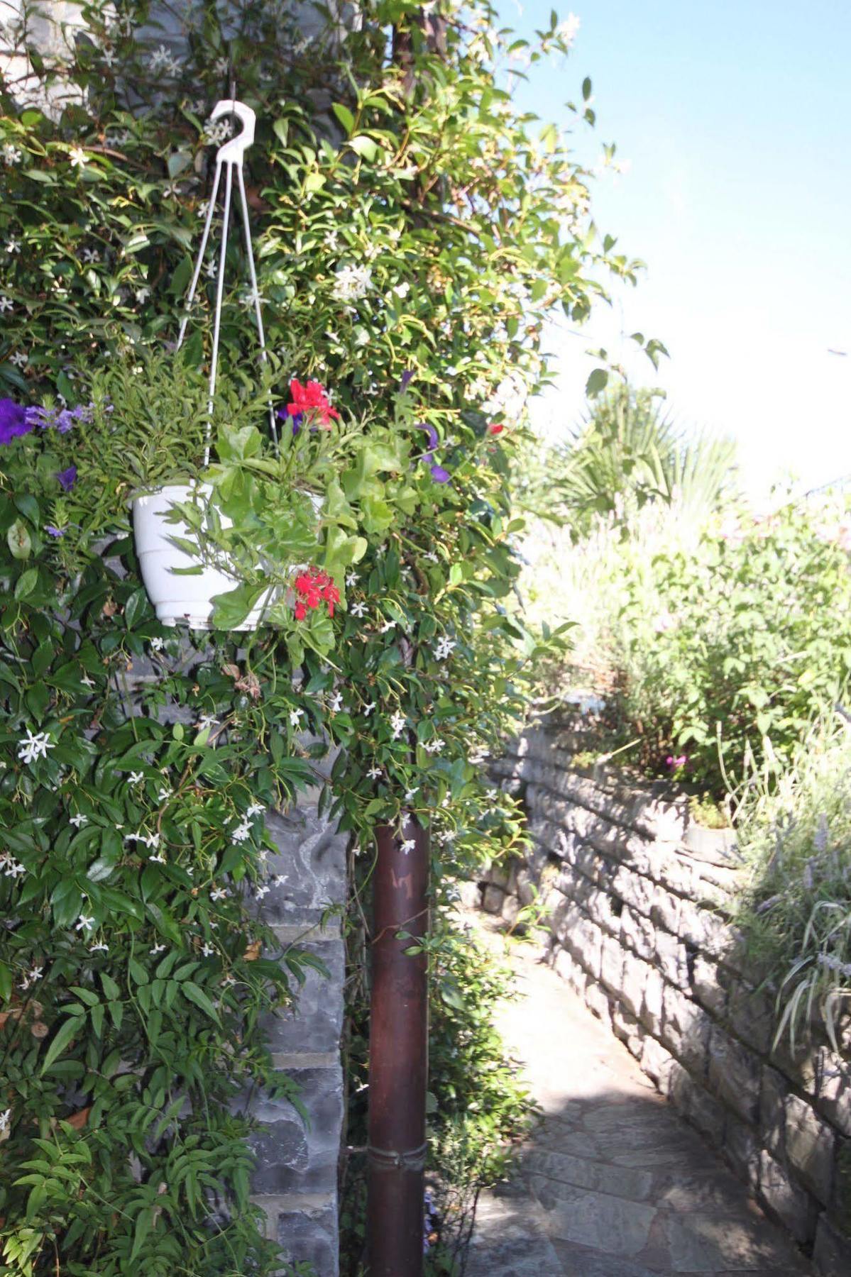 Balcone Fiorito * Menaggio